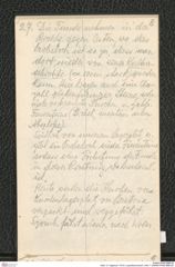 Seite 13, Tagebuch "1919 | Lang-Mannersdorf | Heft 1" (NHMW-PRAE-BBB-09)